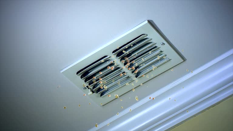 Best Air Duct Cleaning Near Me  in Bolivar Peninsula, TX